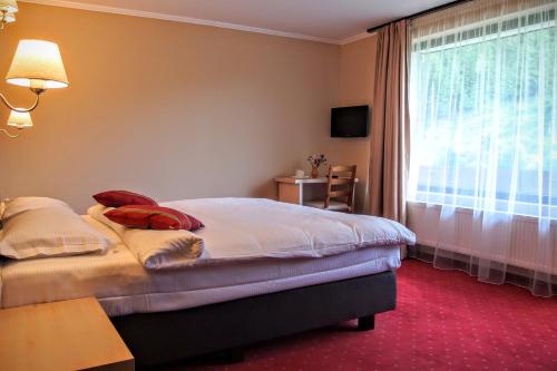 Carpatica Lodge - main image