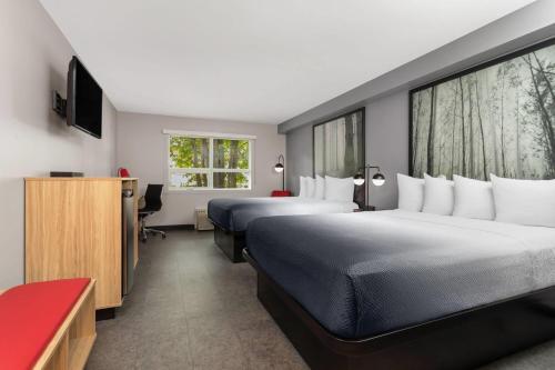 2 queen beds