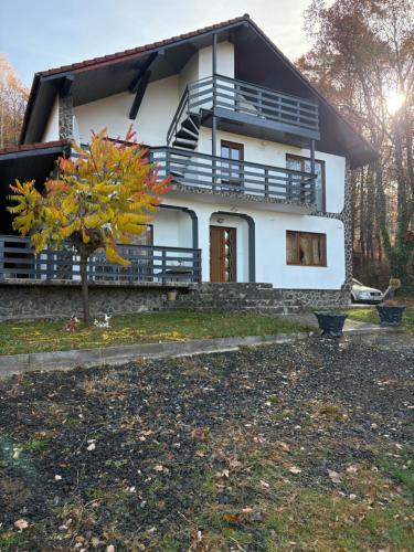 Panorama Challet - Gura Rîului