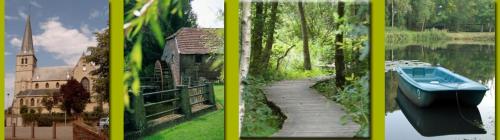  Bosbeekvallei in Opoeteren