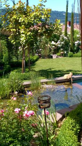 Pemandangan luar, Villa Romantica in Sipplingen