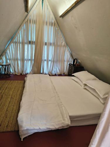 Rustic Palms in Man Tarf Zirad