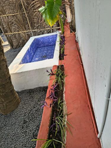 Rustic Palms in Man Tarf Zirad