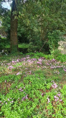 Castel Saint Laurent in ล็องแฌ