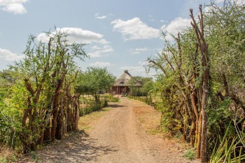 Ieeja, Naramatisho Womens Centre & Maasai Cultural Stay in Monduli