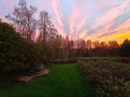 Onnela Homestay Sauna Cottage in Tapio
