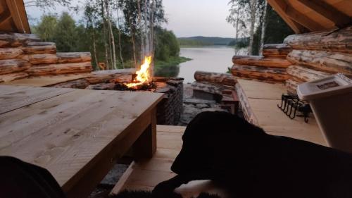 Onnela Homestay Sauna Cottage in Tapio