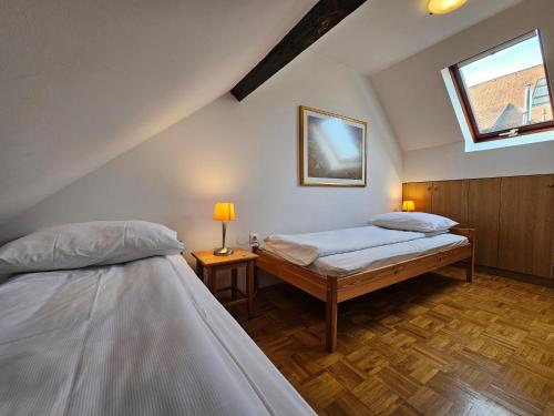 Apartment Nina Tour As Ljubljana with private terrace under Castle hill - image 4