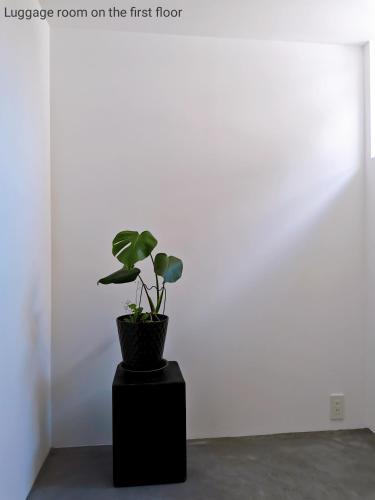 Luna House KIYOMIZU 一棟貸し 月上 清水