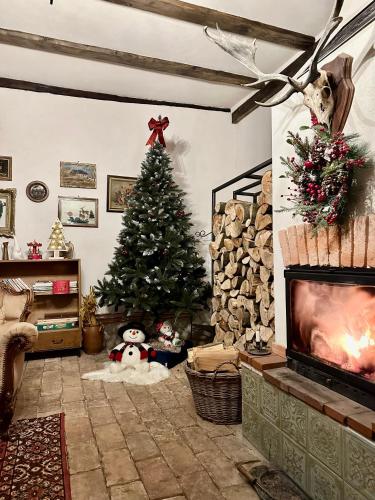 . Entire House @Saschiz 130