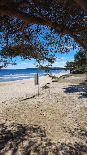 Studio apartment in Kivik in Simrishamn