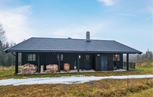Exterior view, Awesome Home In Hemsedal With Sauna in Hemsedal