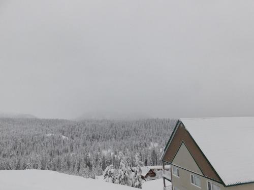 Drive Up Condo - Walk to Mount Washington in 華盛頓山 (BC)