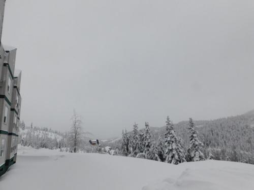 Drive Up Condo - Walk to Mount Washington in Mount Washington (BC)