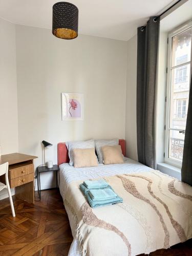 Art de Recevoir - Charmant cocon au cœur de Lyon avec vue sur Fourviere in Lyon