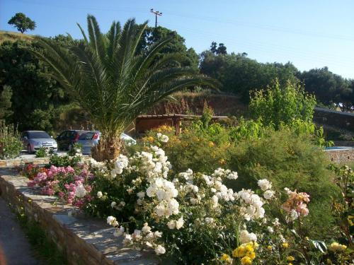 Vassiliki Studios - image 11