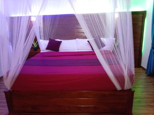 Crest Cold Homestay - image 2