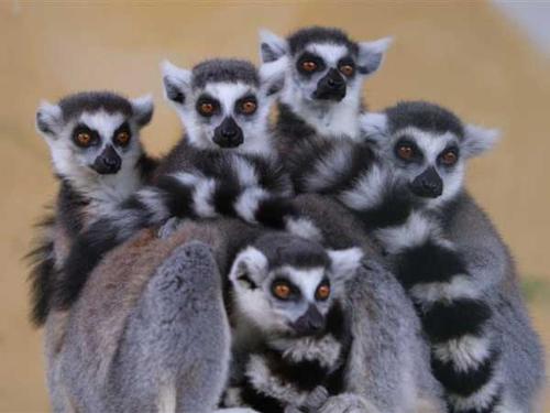 castle inn toyokawa kamiarai 14 1 toyohashi japan jp 442 0824 jinjiang inn fuding taimu avenue no