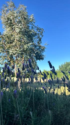 La Colorada de Yacanto in Villa Jakanto