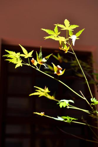 OrigInn Space OrigInn Space