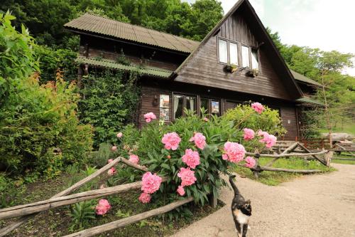 Double or Twin Room with Private Bathroom