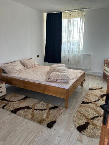 Cabana Bradu Moșului (Cabana Bradu Mosului) in Rusca