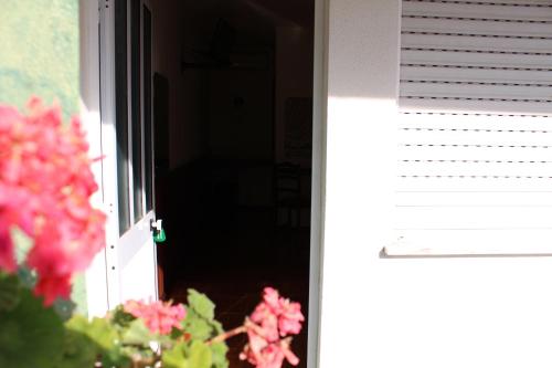Residencial Pinho Verde - image 2