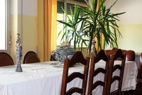 Residencial Pinho Verde - image 8