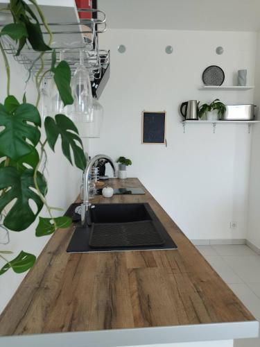Explora Stay in Baimbridge