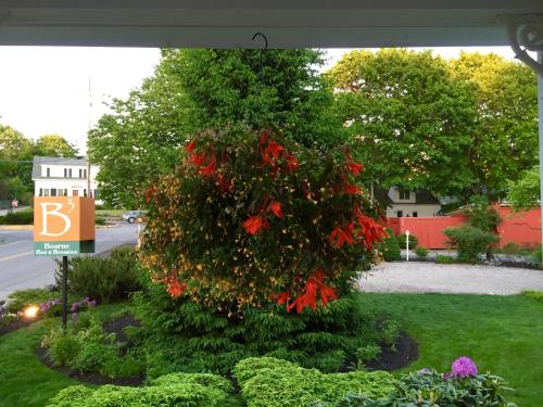 مبيت وإفطار بورن مبيت وإفطار بورن