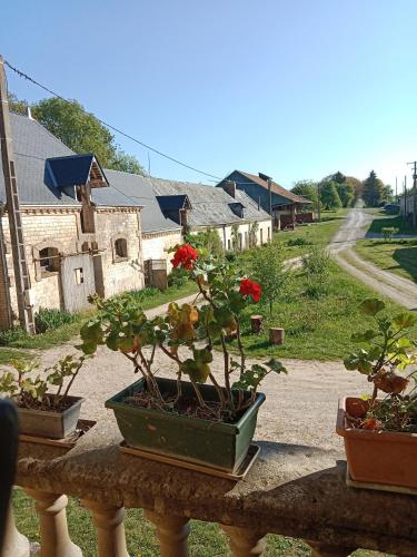 La Folia - Ferme de Lucqy in Le Thour
