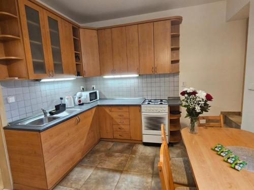 keittiö, Apartment Stejskalova in Zidenice