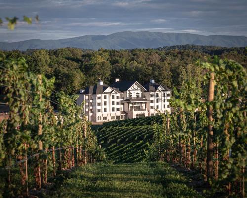Nicewonder Farm & Vineyards - image 14