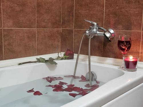 Vannas istaba, "Bee Happy" Spa Apartment - Mineral Water,Jacuzzi bath,Pet-friendly in Momin Prohod