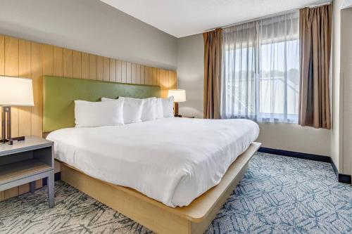 Country Inn & Suites by Radisson Charleston North SC - image 2