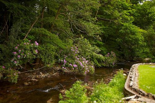 Clody Lodge - image 7