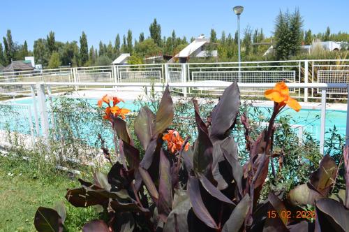 Diaz Felices in Veinticinco de Mayo