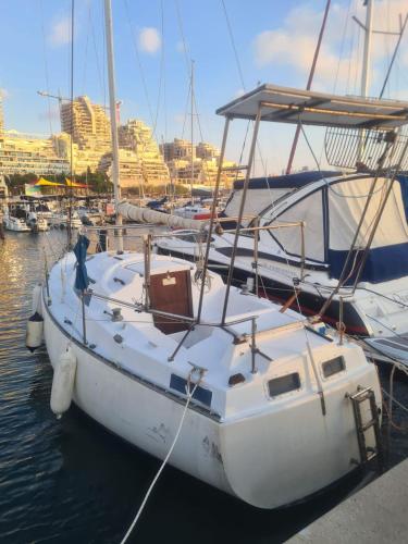 SeaGlamp in Ashkelon