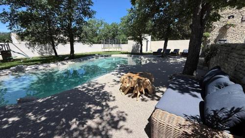 Modern Villa With Views Of Gordes - Location saisonnière - Gordes