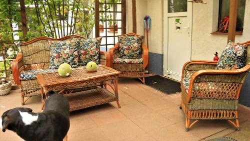 Gemütliche Wohnung in LübbenauSpreewald mit Eigener Terrasse, Lübbenau