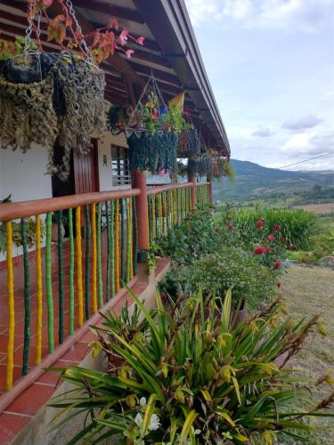 XayLa Agro Hostel Curití