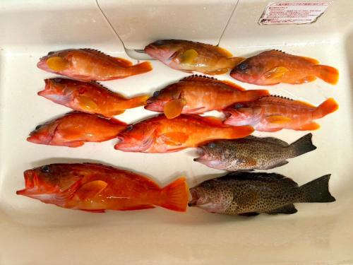 貸切ゲストハウス みなと家