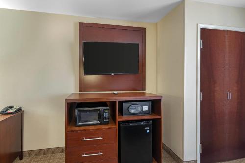 Comfort Suites Gateway - image 6