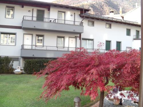 APPARTAMENTO ACERO - 2 min walk to Bernina Express - 150metri, Tirano