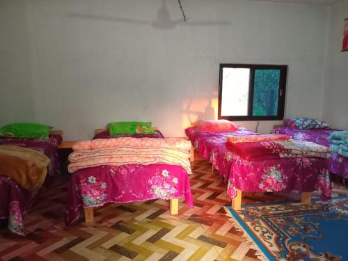 Buddhanagar Homestay in 쿠마르와르티