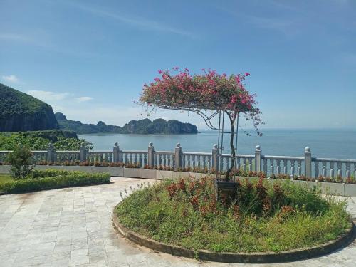 Surrounding environment, Catbaisland hostel in Cat Ba Island