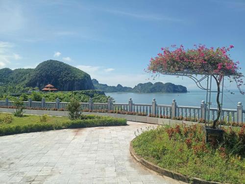 Surrounding environment, Catbaisland hostel in Cat Ba Island