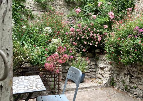 Châtel Rose - Historical Centre with Garden 2