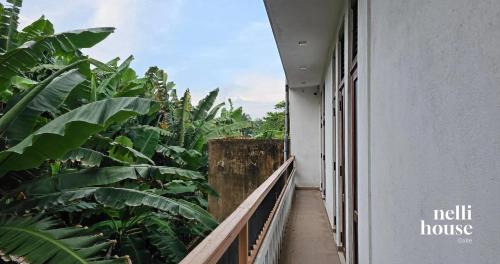 Vistas, nelli house in Galle