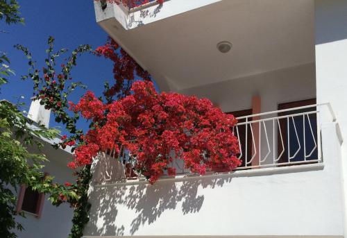 Foto - Flower Villa Apart